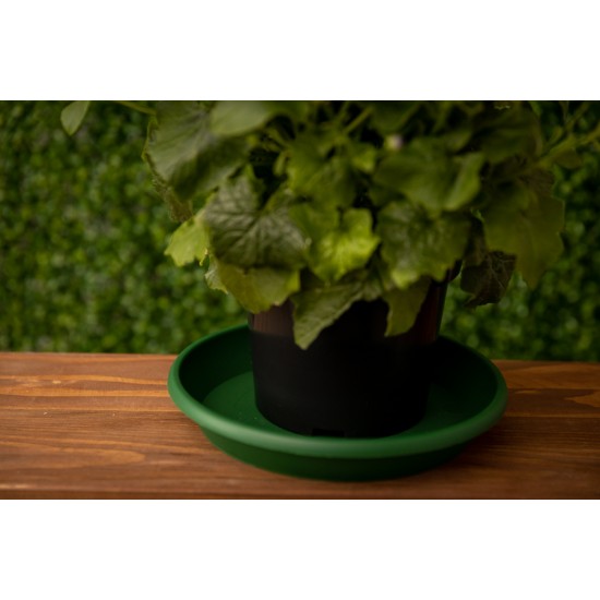 Plant Pots Saucers Round Green